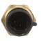 Delphi COOLANT TEMPERATURE SENSOR TS10545 - alternate 5
